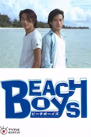 Beach Boys (1997)